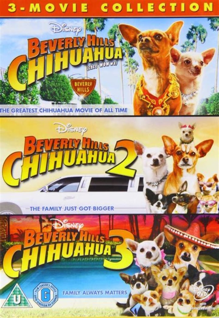 Is there a 4th Beverly Hills Chihuahua 4? – Celebrity