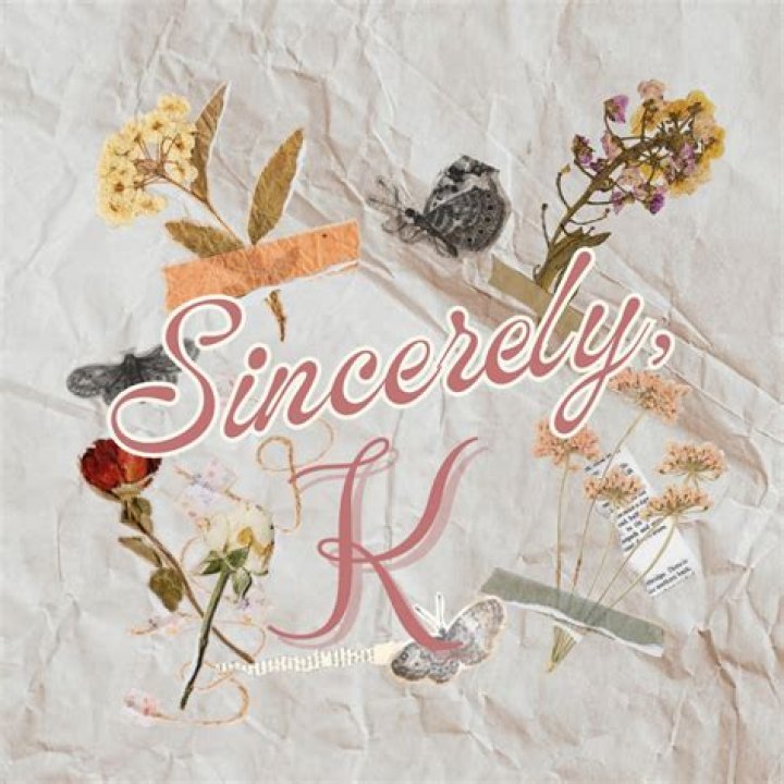 Sincerely, K.S.O. Youtuber overview